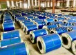 Cuộn INOX 316